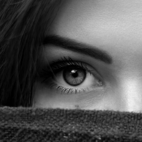 Shane Castle, Erotica Author